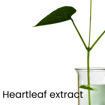 Evonex® Radiant Revitalizing™ Reinigungsöl